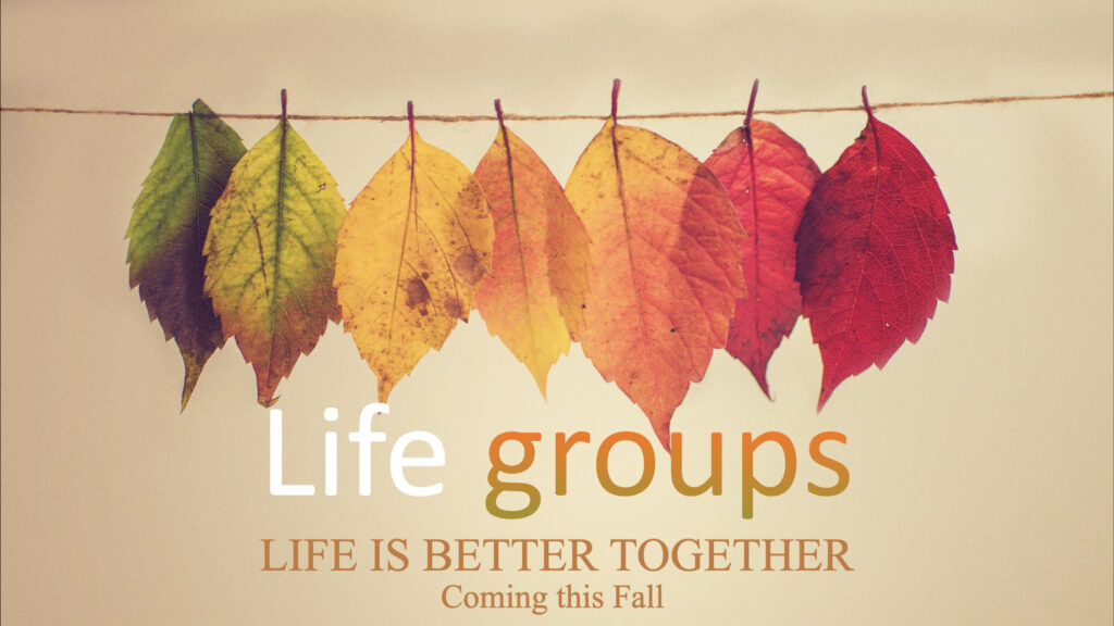 life group intro slide.001