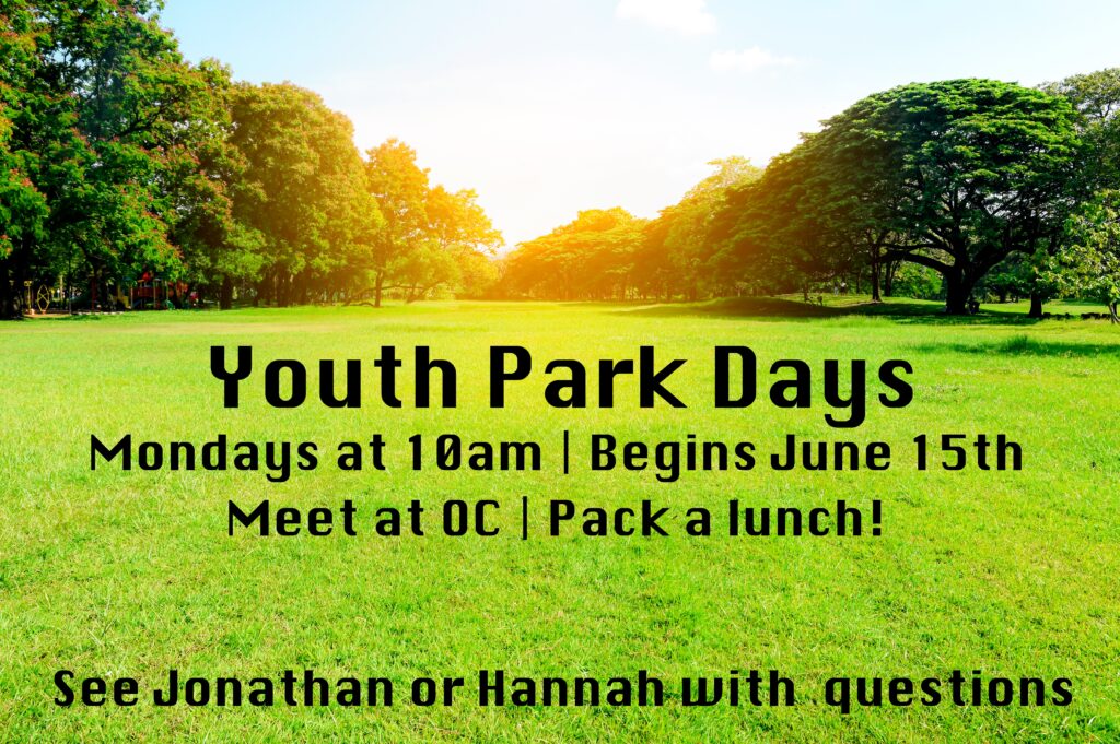 Youth park days