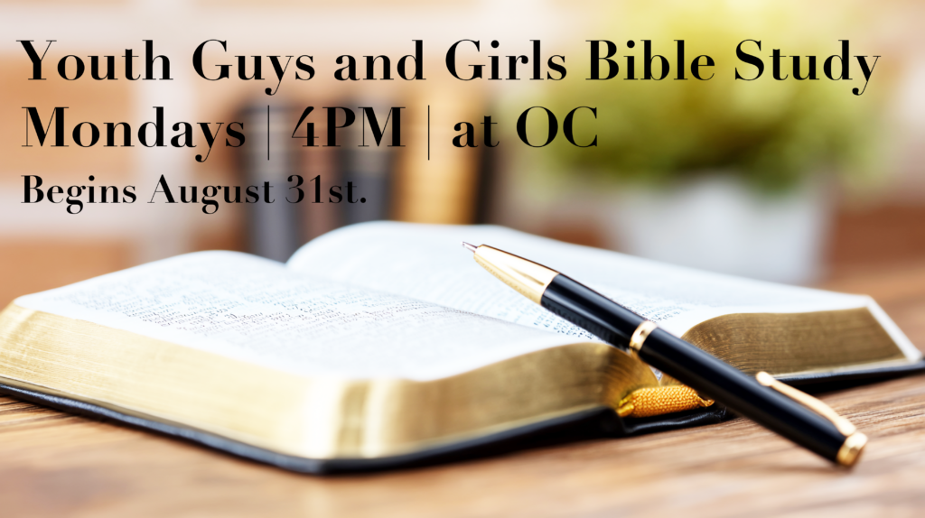 Youth guys and girls bible study