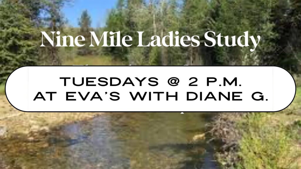 tuesday nine mile